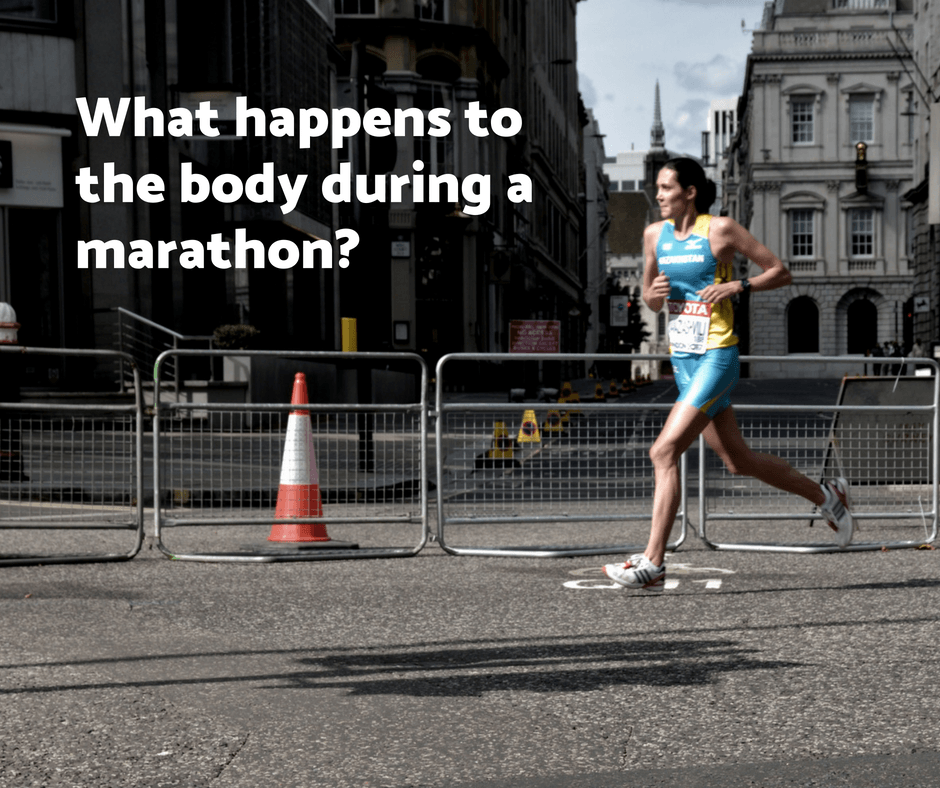 What happens to the body during a marathon?